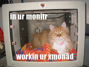 Xmonad-lambdacat.jpg